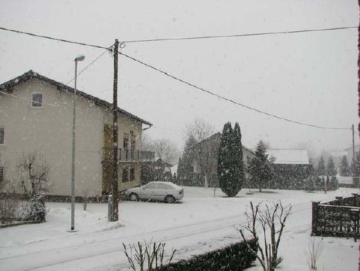 Sneženje, 17.1. - dopoldan