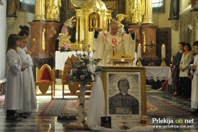 Slomškova nedelja Slomškova nedelja