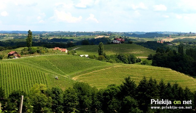 Tudi Prlekija je zelena