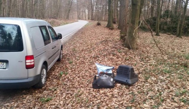 Pobiranje smeti ob vinski cesti Pobiranje smeti ob vinski cesti