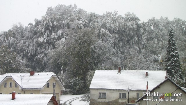 Sneg v Ljutomeru