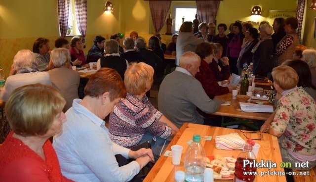 Srečanje piscev seniorjev in seniork Srečanje piscev seniorjev in seniork