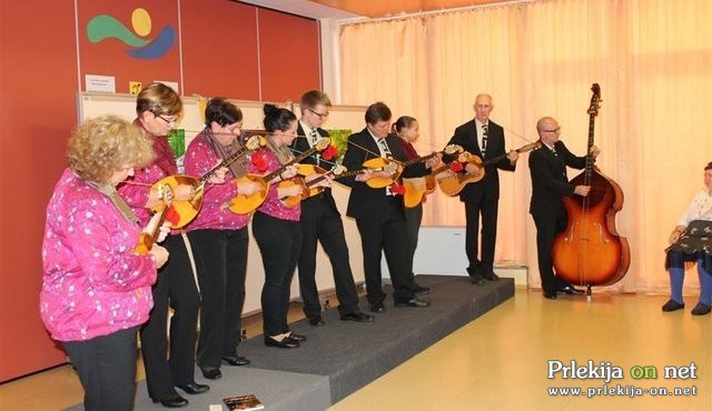 Tamburaši v DSO Gornja Radgona Tamburaši v DSO Gornja Radgona