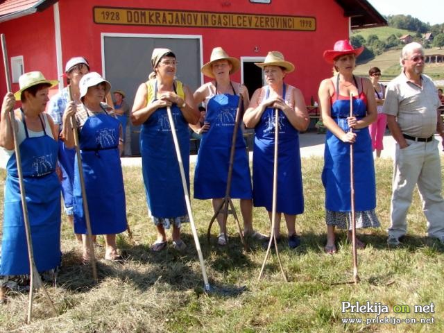 Košnja in sušenje trave v Žerovincih