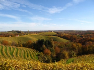 Prleški vinogradi