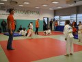 1. kolo Prleške judo lige za najmlajše