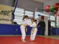 1. kolo Prleške judo lige za najmlajše