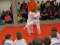 1. kolo Prleške judo lige za najmlajše