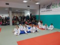 1. kolo Prleške judo lige za najmlajše