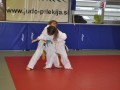 1. kolo Prleške judo lige za najmlajše