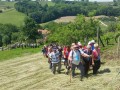 11. pohod Pomlad v prleških goricah