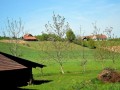 13. Blaguški tek