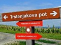 13. TRSTENJAKOV POHOD