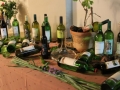 15 let Društva vinogradnikov Mala Nedelja