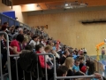 16. državno prvenstvo Slovenije v twirlingu