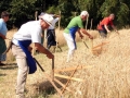 18. žetev zlatega pšeničnega klasa