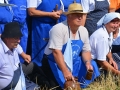 19. žetev zlatega klasa