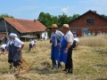 19. žetev zlatega klasa