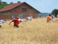 19. žetev zlatega klasa