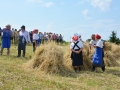 19. žetev zlatega klasa