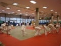 2. kolo Prleške judo lige za najmlajše 2013