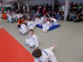 2. kolo Prleške judo lige za najmlajše