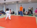 2. kolo Prleške judo lige za najmlajše