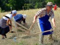 21. Žetev zlatega klasa