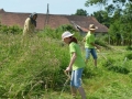 27. košnja trave v Vogričevcih