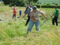 27. košnja trave v Vogričevcih