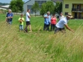 27. košnja trave v Vogričevcih