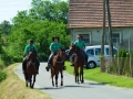 27. košnja trave v Vogričevcih