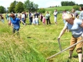 28. košnja trave v Vogričevcih
