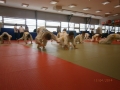 3. kolo Prleške judo lige