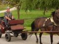 4. malonedeljska konjenica