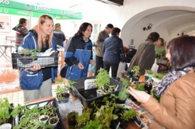 4. vseslovenska Zelemenjava v Ljutomeru