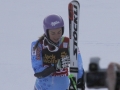 49. Zlata lisica