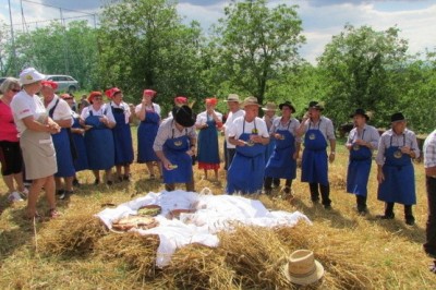 54. praznik žetve na Polenšaku