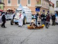 56. mednarodna pustna in karnevalska povorka