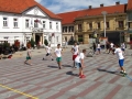 6. Basket na placi