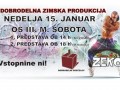 8. dobrodelna zimska produkcija Plesne šole Zeko