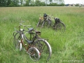 Oldtimeri pecikli