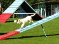 Agility