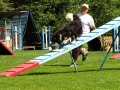 Agility