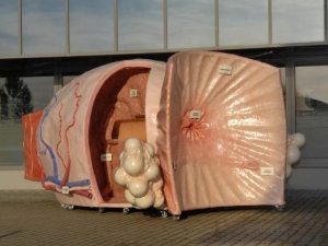 Petmetrski model prostate