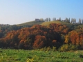 Barvna jesen