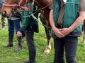 Blagoslov konj pri Mali Nedelji