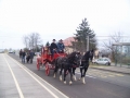 Blagoslov konj v Križevcih