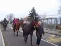 Blagoslov konj v Križevcih