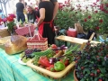 Bogračfest 2014